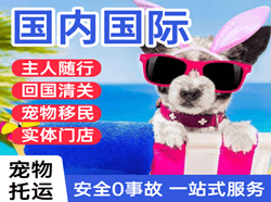 乌兰浩特航空物流国际宠物托运 【国